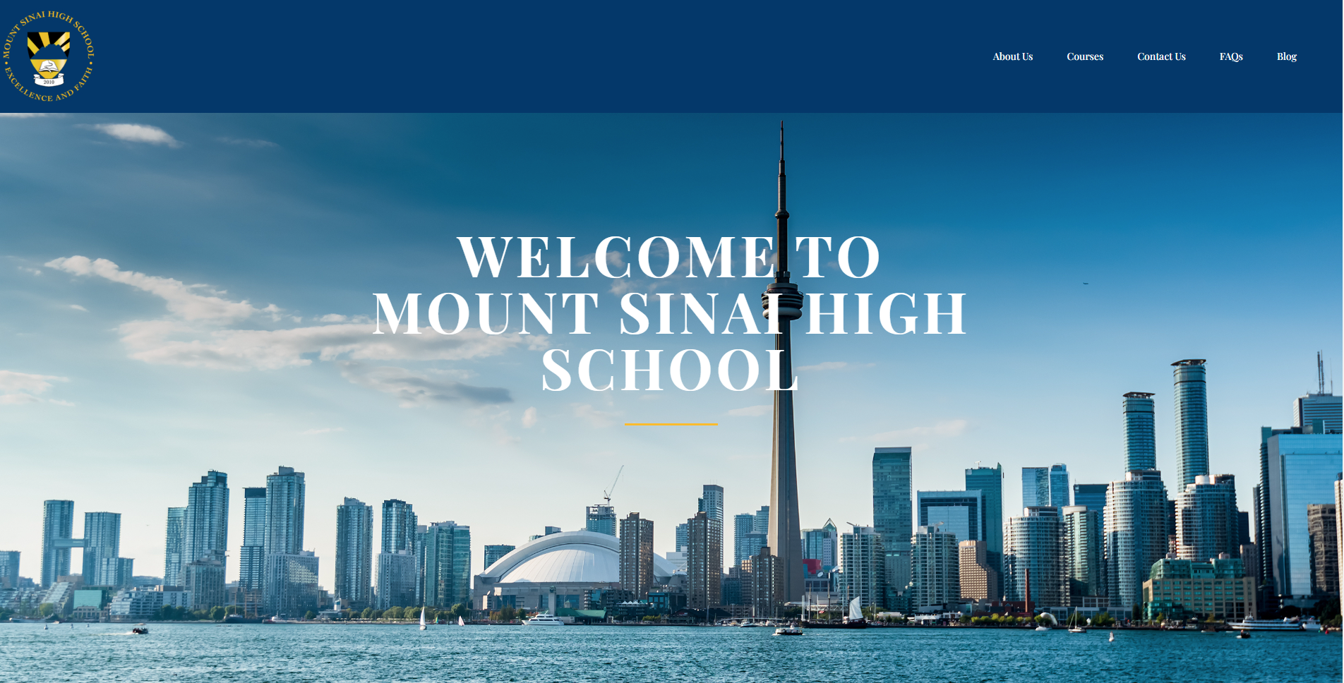 Website Design Mount Sinai High School